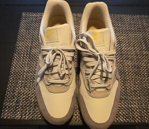 Nike Men’s Neutral Beige and Gray Sneakers